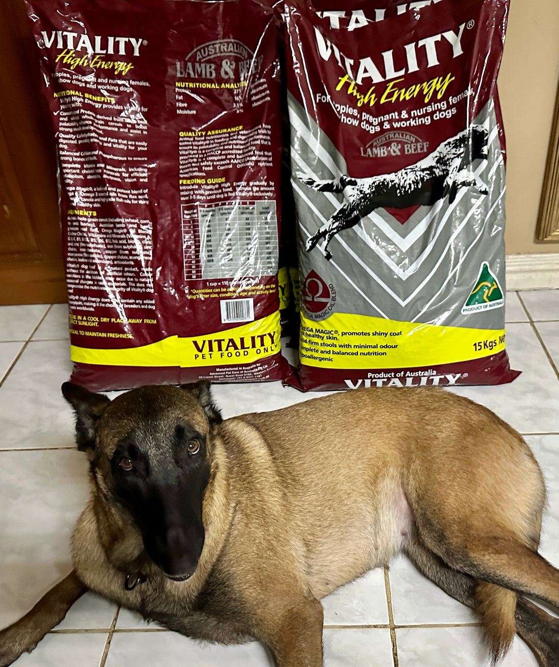 The Benefits of Vitality High Energy Dog Food for Puppies